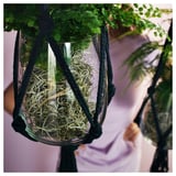 Plantas colgantes en macramé MÄVINN negro. Los soportes, hechos de algodón, aseguran las macetas y exhiben la vegetación.
