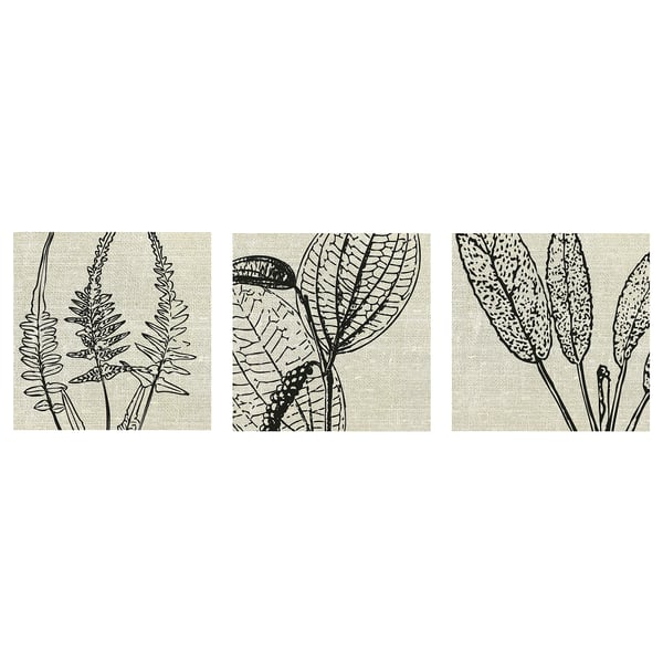 Tres ilustraciones distintas de plantas en blanco y negro sobre lienzo beige. Cada diseño detalles intrincados de hojas o helechos, adecuados para la decoración moderna del hogar.