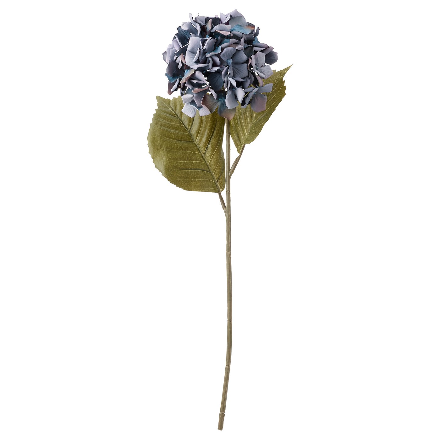 Flores y Plantas - Compra Online - IKEA