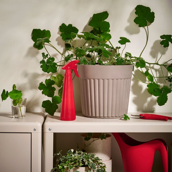 TOMAT Pulverizador para plantas, rojo vivo, 35 cl