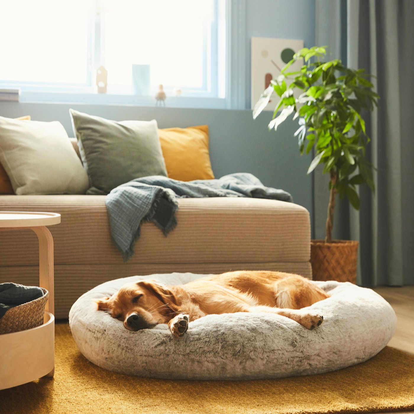 Decoración Cojin Para Perros Ikea UTSÅDD Cama Mascota, Gris Claro