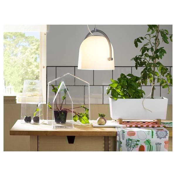 Sukalde modernoa, landare akriliko gardenen terrarioekin, banbuzko euskarrien gainean, zintzilikario zuria eta landare-estalkidun mahai-zapia.
