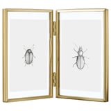 Bi aurpegiko beirazko pantaila, alde bakoitzean kakalardo beltzen ilustrazioak dituen urre-koloreko markoa.