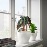 As potas brancas AMBRARÖNN manteñen plantas nunha xanela, máis grande á esquerda, máis pequena á dereita, cos libros abaixo.