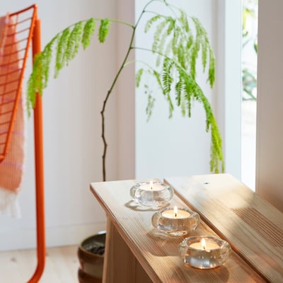 Sala luminosa con soportes de vidro iluminado en banco de madeira, xunto a unha gran planta verde e cadeira laranxa.