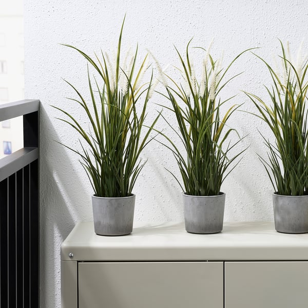 Tres plantas herbosas en vasos de formigón gris, colocadas nun armario branco contra unha parede branca.