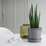 Plantadora de gres gris CITRUSFRUKT con planta e dúas velas de vidro transparente sobre unha mesa branca.