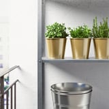 Tres vasos de plantas de cor latón nun estante, cada un cunha planta verde, preto dun gran balde de prata abaixo.