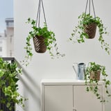 Dúas cestas colgantes con plantas de rego e unha sobre a mesa xunto á lata de rego. Parede branca e edificio ao fondo.