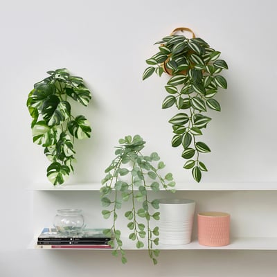 Tres plantas artificiais expostas en estantes brancos. Un colga na parede, dous descansan en estantes con libros e potas decorativas.