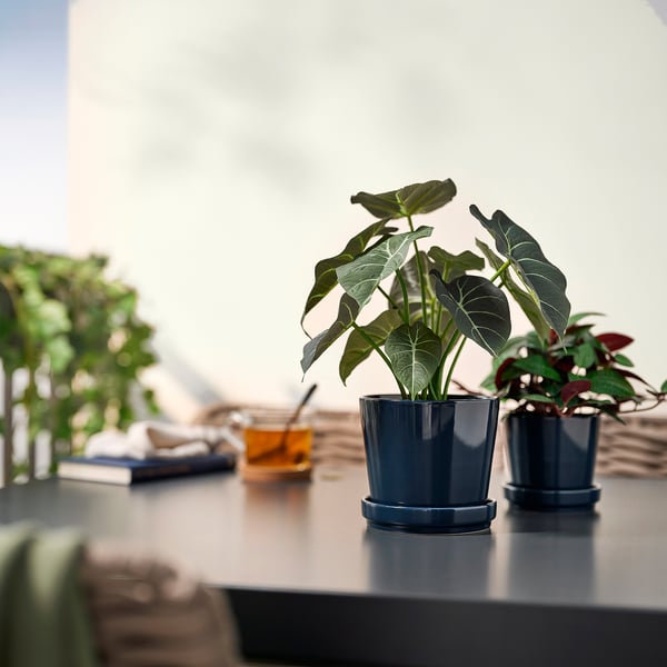 Dúas plantas artificiais FEJKA en vaso sobre a mesa con libro e vidro.