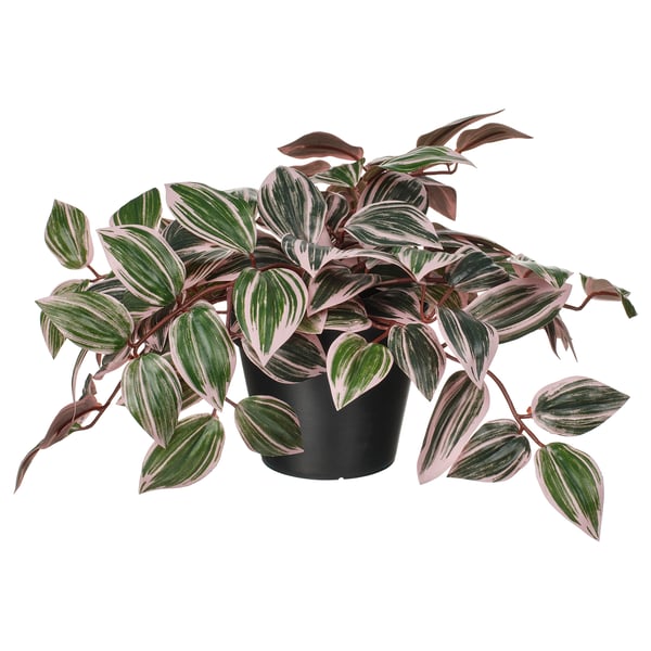 Planta FEJKA, verde con raias rosas, en pota en negro, artificial, vibrante, frondosa.