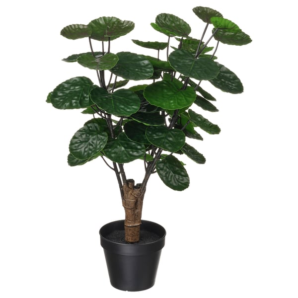 Planta artificial FEJKA, verde, en negro, follas e tronco realistas, baixo mantemento.