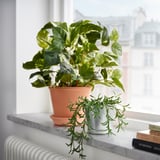 Plantas en vaso na xanela: verde en vasos laranxas e prateados, radiador branco abaixo.