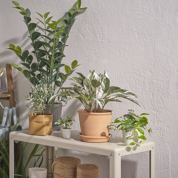Catro plantas en vaso nun estante branco; un grande, dous medianos, outro pequeno; varias formas e materiais de contedores; Decoración interior.