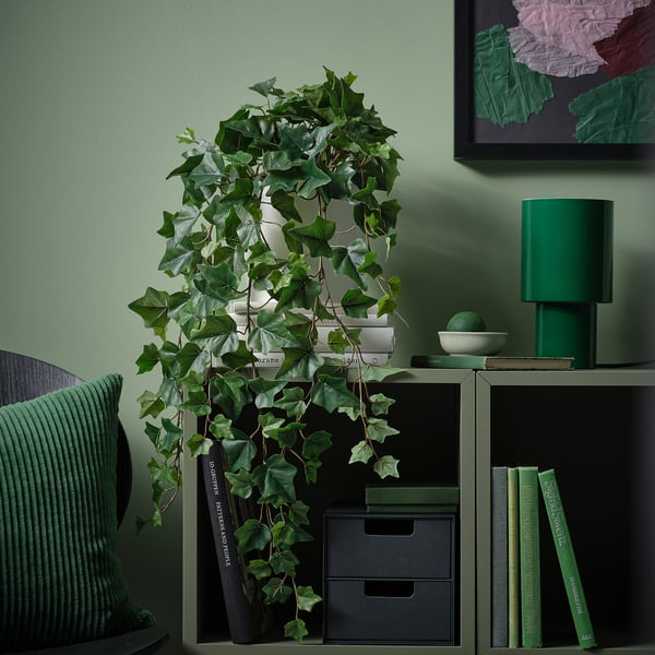 A planta en pota engade unha atmosfera acolledora ao almacenamento.