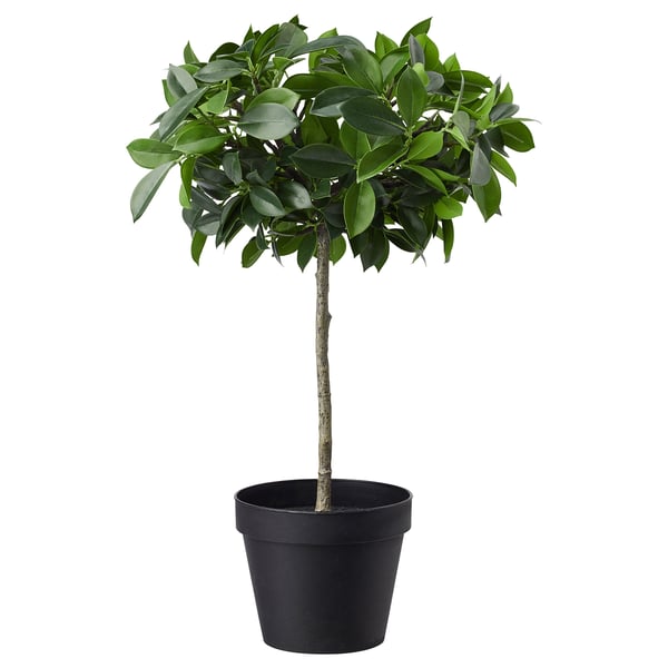 FEJKA planta en vaso, plástico verde redondo