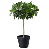 FEJKA planta en vaso, plástico verde redondo