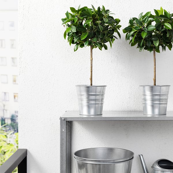 Dúas plantas topiarias artificiais en cubos metálicos nun estante.