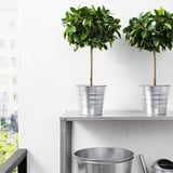 Dúas plantas topiarias artificiais en cubos metálicos nun estante.