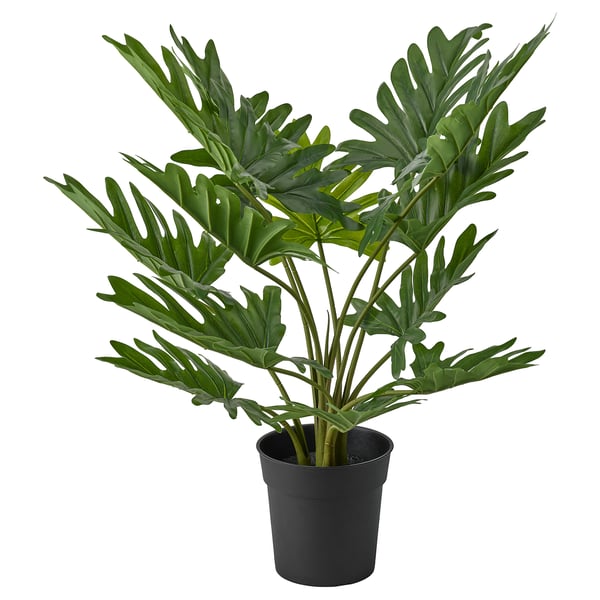 Planta FEJKA, verde, en negro, sintética.