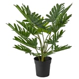 Planta FEJKA, verde, en negro, sintética.