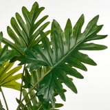 Follas tropicais grandes e verdes vibrantes da planta FEJKA, realistas e exuberantes.