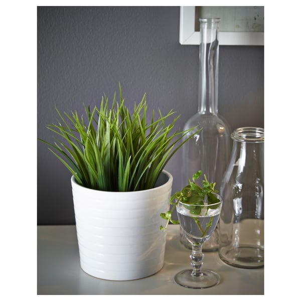 Pequena planta en vaso en cerámica branca, vaso de vidro con verde, botella de vidro transparente en estante gris. - Uso interior / exterior.