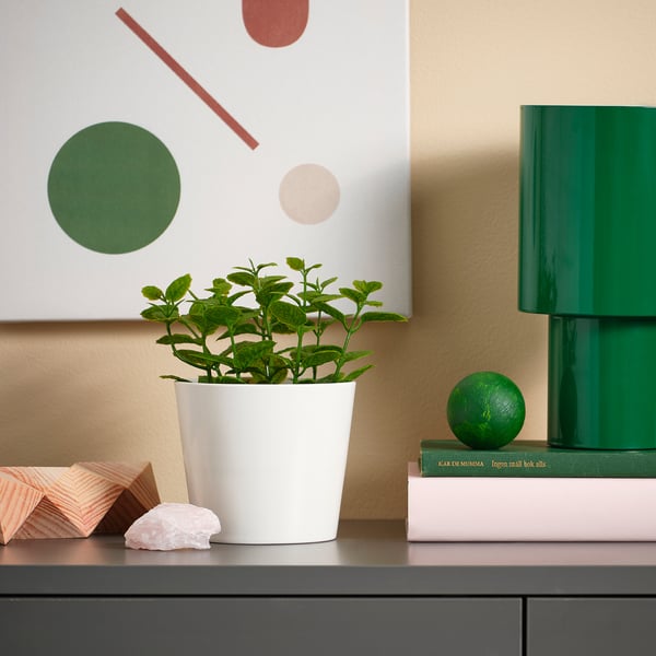 Planta branca FEJKA en estante con decoración, libros e lámpada.