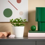 Planta branca FEJKA en estante con decoración, libros e lámpada.