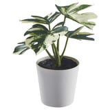 Planta branca en vaso con follas verdes, falsa, feita con materiais reciclados.