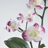 Fermosas orquídeas artificiais con patróns púrpuras e brancos vibrantes en pétalos delicados, talos e follas verdes exuberantes, que exsudan unha calidade realista.