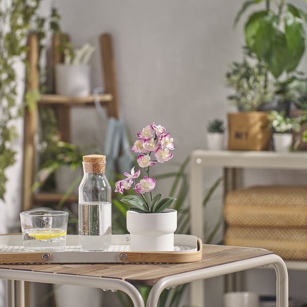 A pequena planta branca artificial de FEJKA senta nunha bandexa con frascos de vidro nunha mesa semi-exterior. Rodeada de varias plantas e mobles de vimbio.