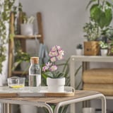 A pequena planta branca artificial de FEJKA senta nunha bandexa con frascos de vidro nunha mesa semi-exterior. Rodeada de varias plantas e mobles de vimbio.