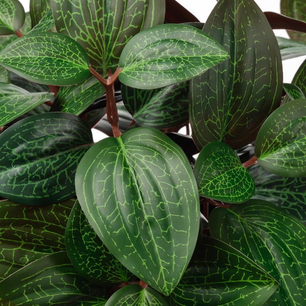 Follas verdes vibrantes con veas vivas sobre plantas artificiais realistas.