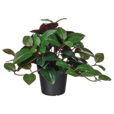 Planta de pota FEJKA. Follas verdes en forma de corazón. Materiais realistas e reciclados.