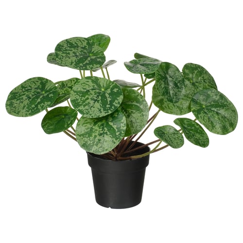 Planta en pota FEJKA, verde, plástico reciclado, follas redondas, artificial.