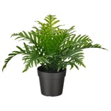 Planta verde artificial en recipiente negro.
