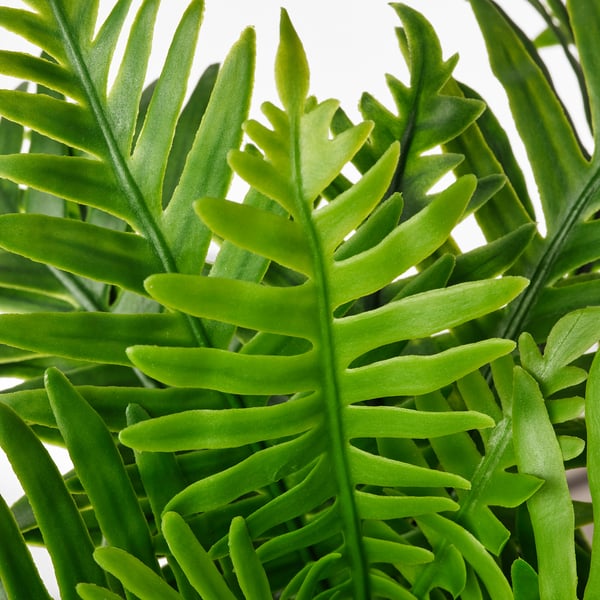 Plantas vibrantes e realistas. Follas verdes exuberantes, meticulosamente elaboradas.