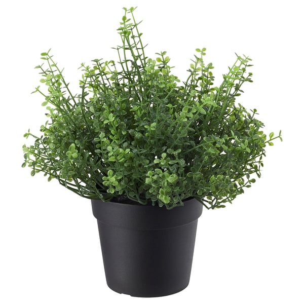 FEJKA planta en vaso negro, realista, de baixo mantemento