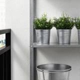 Plantas artificiais en estantes metálicas, decoración de baixo mantemento.