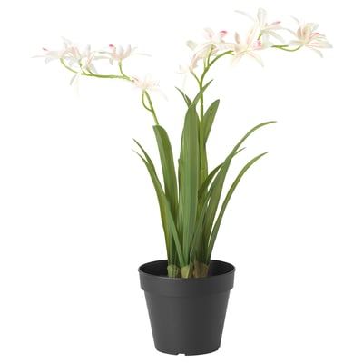 Planta en vaso FEJKA, flores brancas, follas verdes.