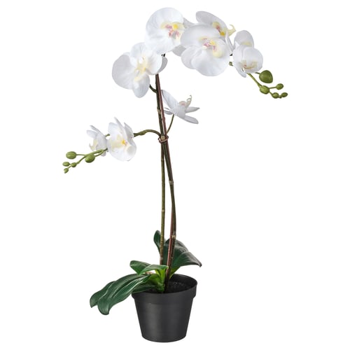 Planta de orquídea branca FEJKA, artificial, en negro.