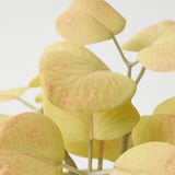 Planta artificial con follas amarelas vibrantes, textura e deseño realistas, destaca sobre un fondo branco.