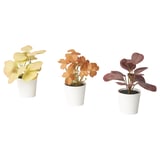 Tres plantas artificiais en vasos en recipientes brancos, de diferentes cores: amarelo, laranxa e vermello, con follas anchas.