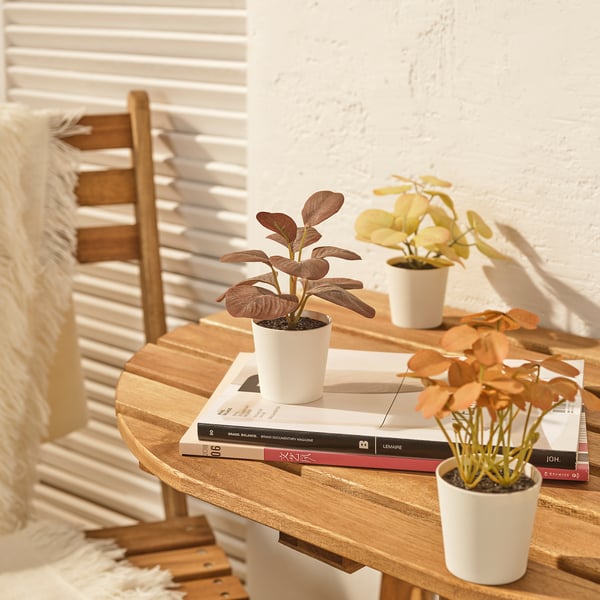 A mesa de madeira contén plantas artificiais e libros. As plantas están ordenadas, axeitadas para uso interior ou exterior.