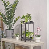 Pequena planta FEJKA: follas púrpuras, plástico, elegante soporte, axustado ao estante, preto de plantas máis grandes.