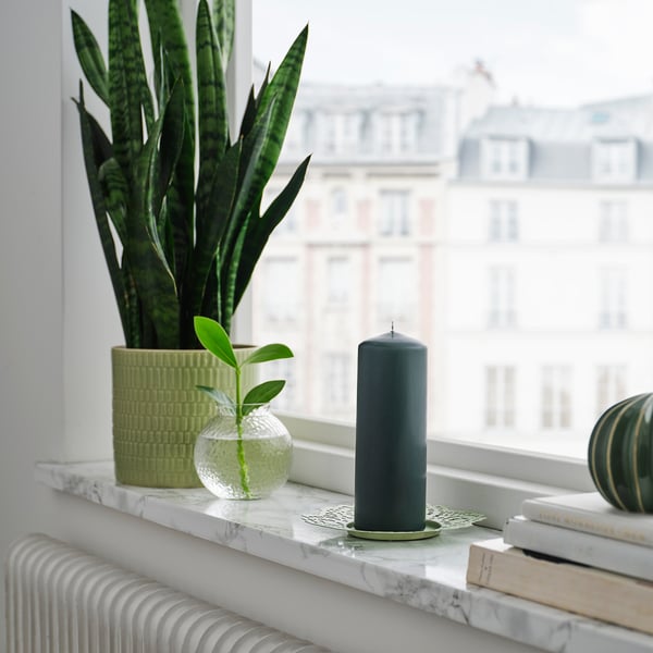Xanela con planta de serpe, planta pequena en pota, gran vela gris FENOMEN e libros. A vela é alta, centrada e elegante.