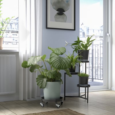 Sala de estar con planta grande, plantas en pota, vista á cidade, arte.