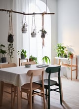 Zona de comedor luminosa e aireada con mesa branca, cadeiras RÖNNINGE de cores mixtas, verde e beige. Plantas colgadas, fiestra grande.